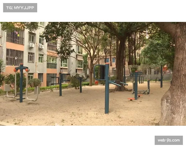 社区柔道课程受欢迎，市民参与度持续提升